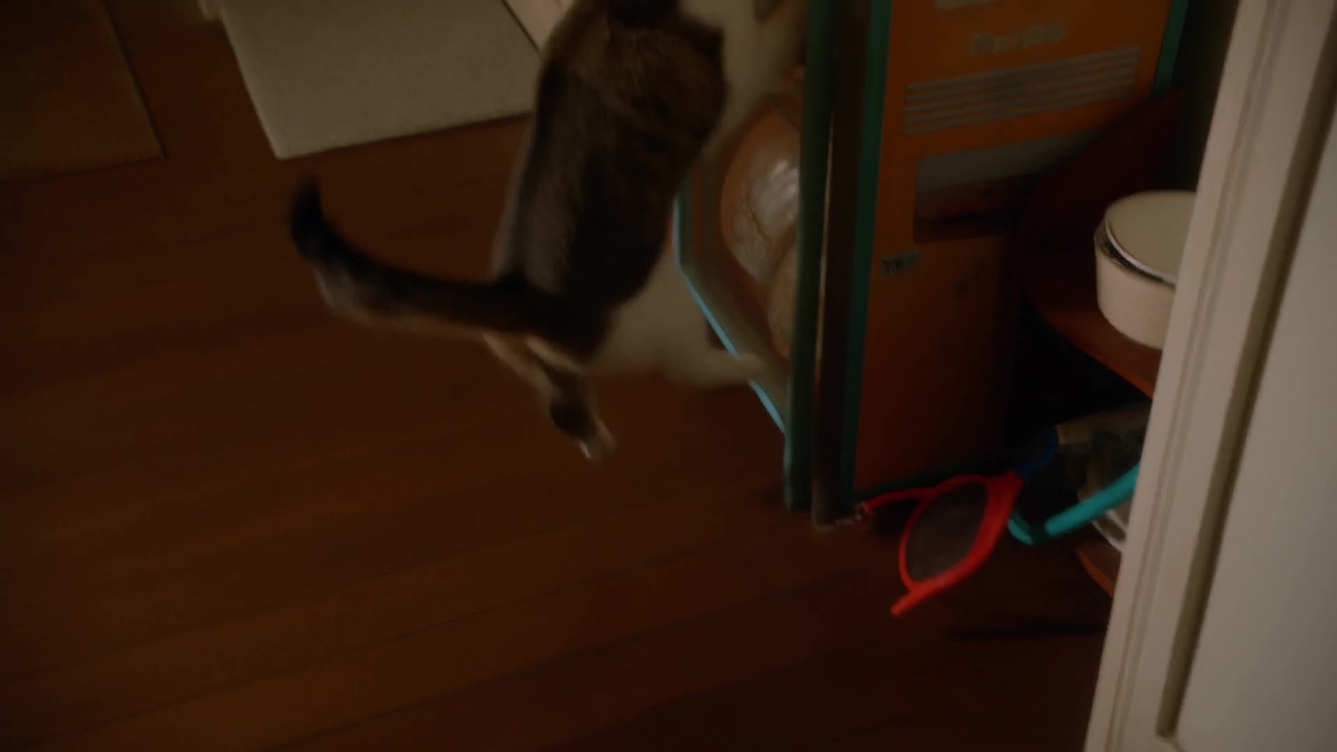 MiniMax Hailuo 02: Cat jumping to a counter