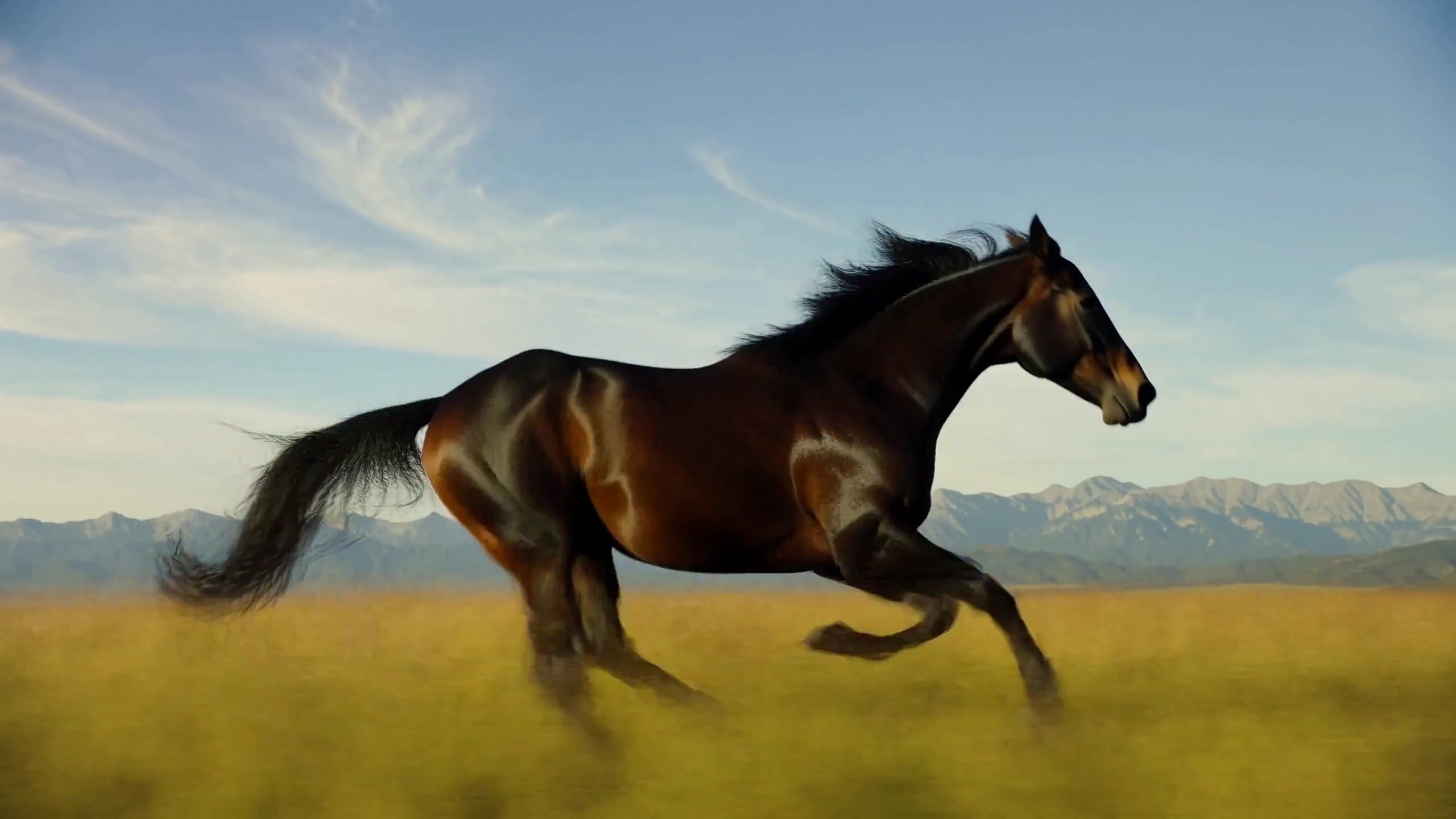 MiniMax H3: Galloping horse