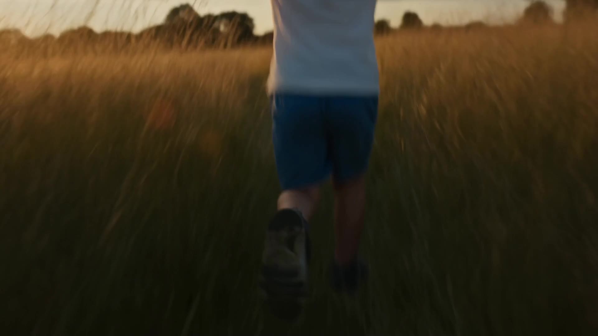 Seedance 2.0: Handheld follow