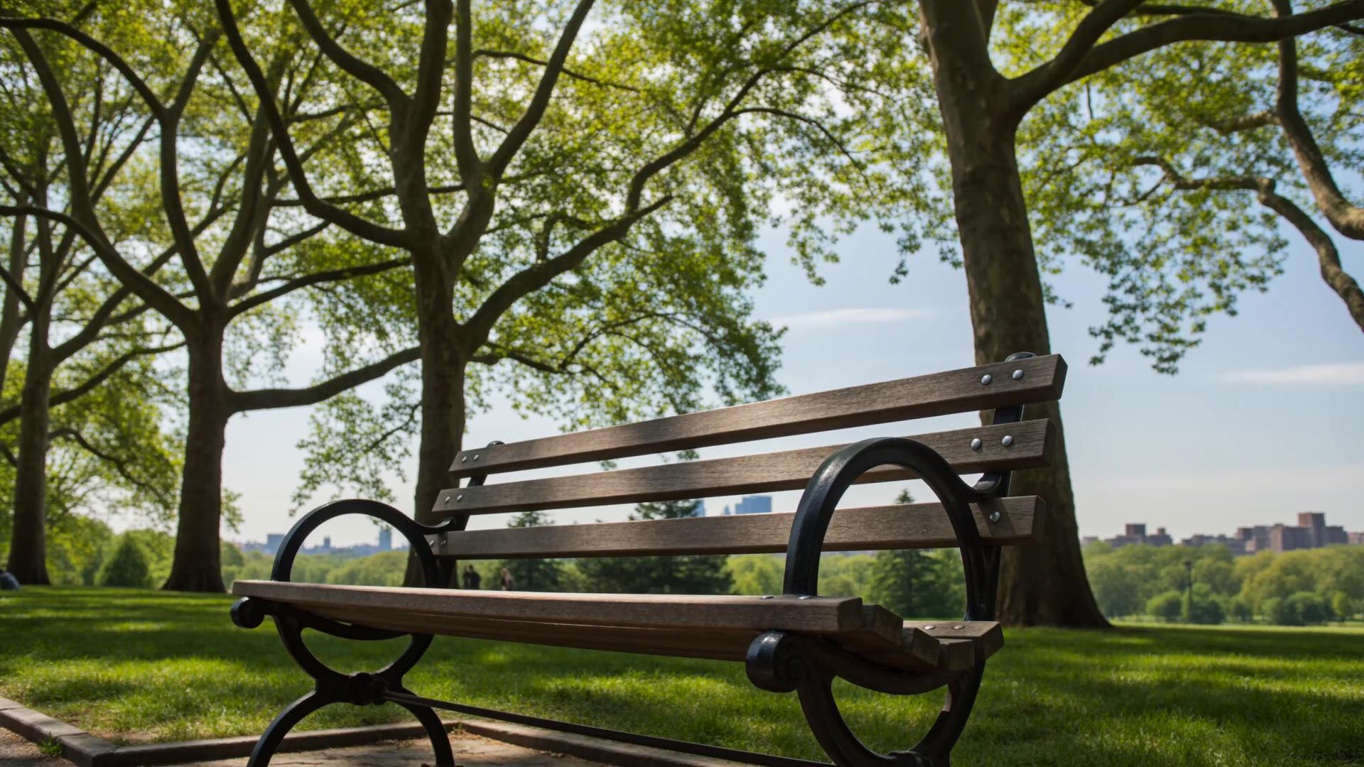 Seedance 2.0: Same bench, day and dusk