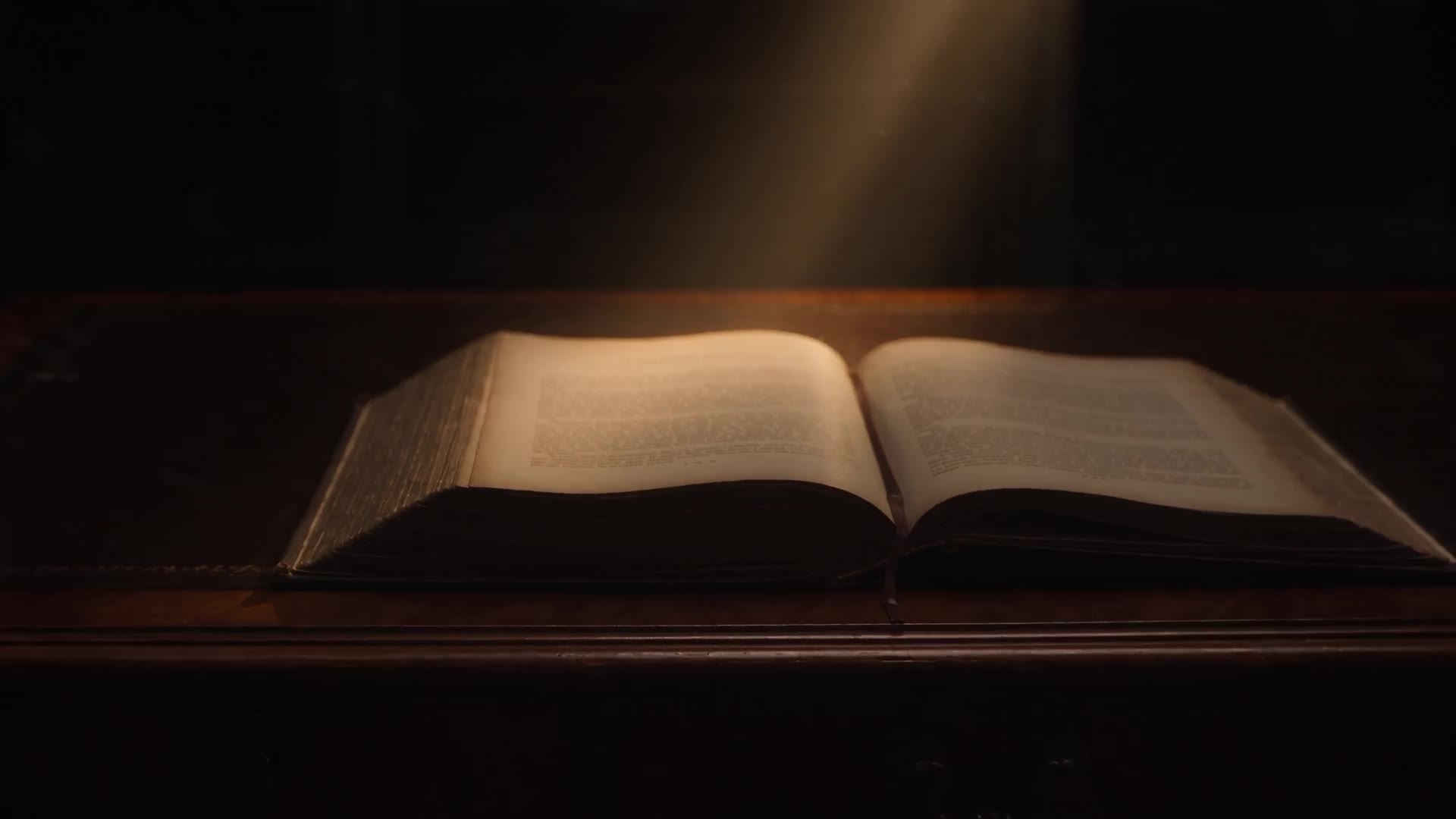 Seedance 2.5: Book chapter heading