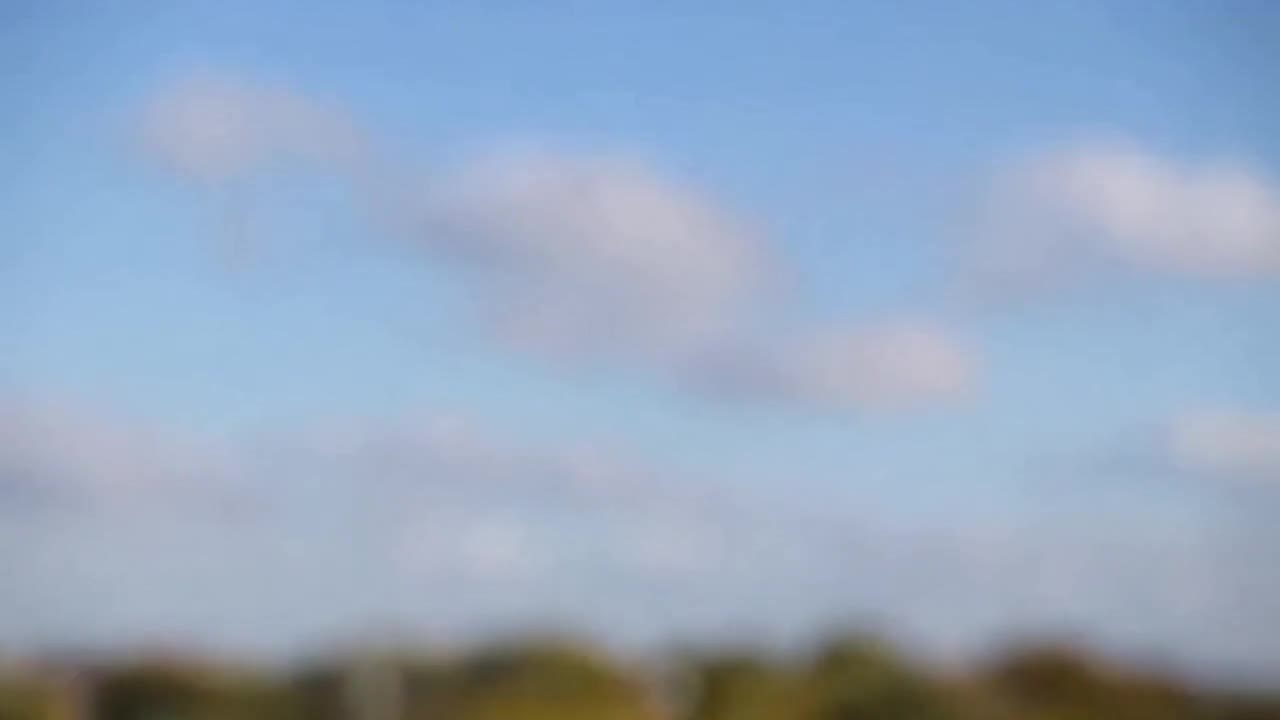 OpenAI Sora 2: Pigeon takeoff